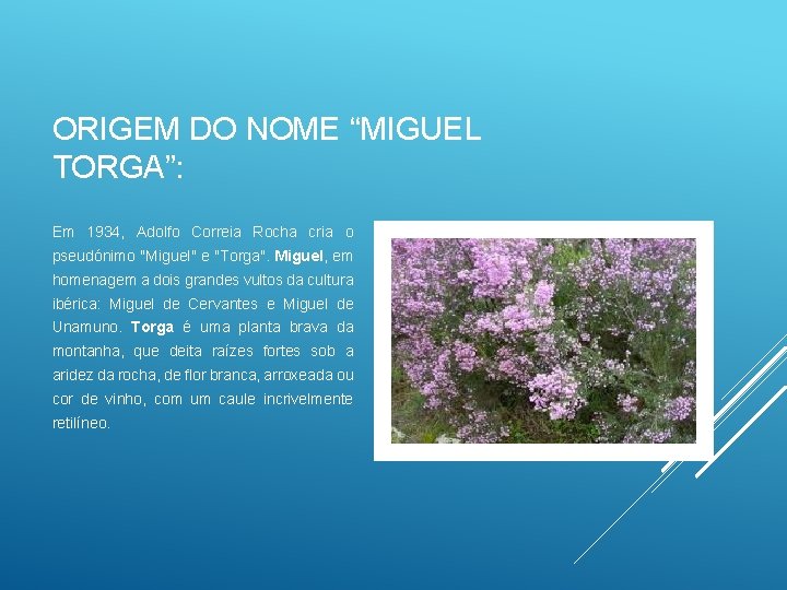 ORIGEM DO NOME “MIGUEL TORGA”: Em 1934, Adolfo Correia Rocha cria o pseudónimo "Miguel"