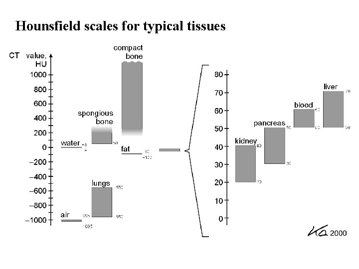 Hounsfield scales for typical tissues 