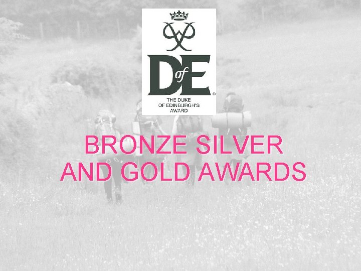 BRONZE SILVER AND GOLD AWARDS 