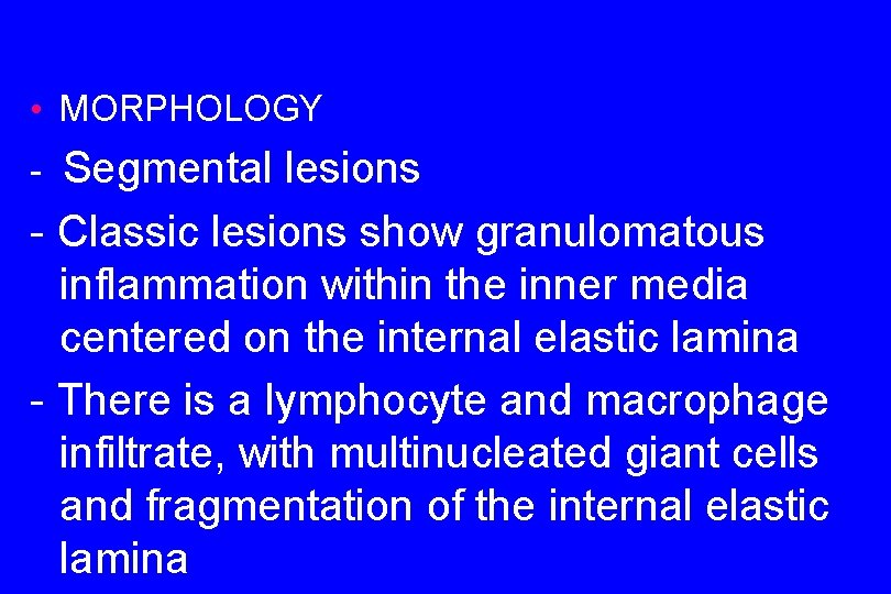  • MORPHOLOGY Segmental lesions - Classic lesions show granulomatous inflammation within the inner