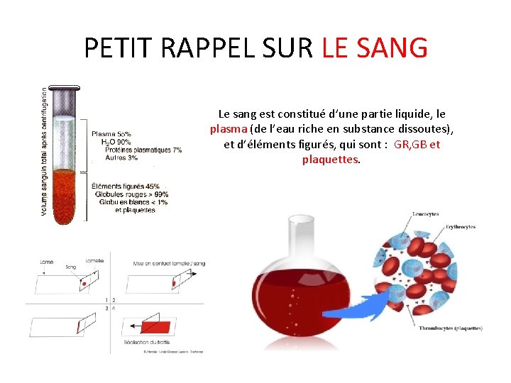 PETIT RAPPEL SUR LE SANG Le sang est constitué d’une partie liquide, le plasma