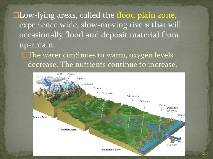 �Low-lying areas, called the flood plain zone, experience wide, slow-moving rivers that will occasionally
