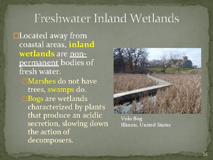Freshwater Inland Wetlands �Located away from coastal areas, inland wetlands are nonpermanent bodies of