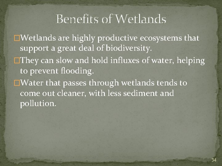 Benefits of Wetlands �Wetlands are highly productive ecosystems that support a great deal of