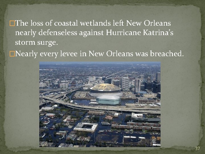 �The loss of coastal wetlands left New Orleans nearly defenseless against Hurricane Katrina’s storm
