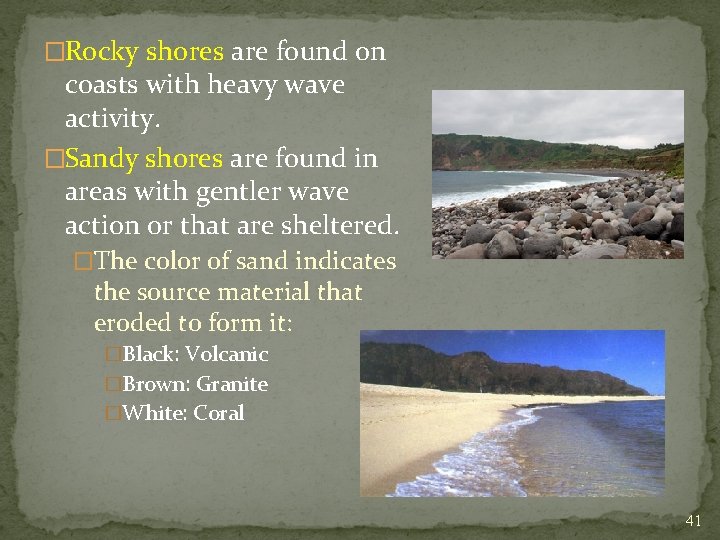 �Rocky shores are found on coasts with heavy wave activity. �Sandy shores are found