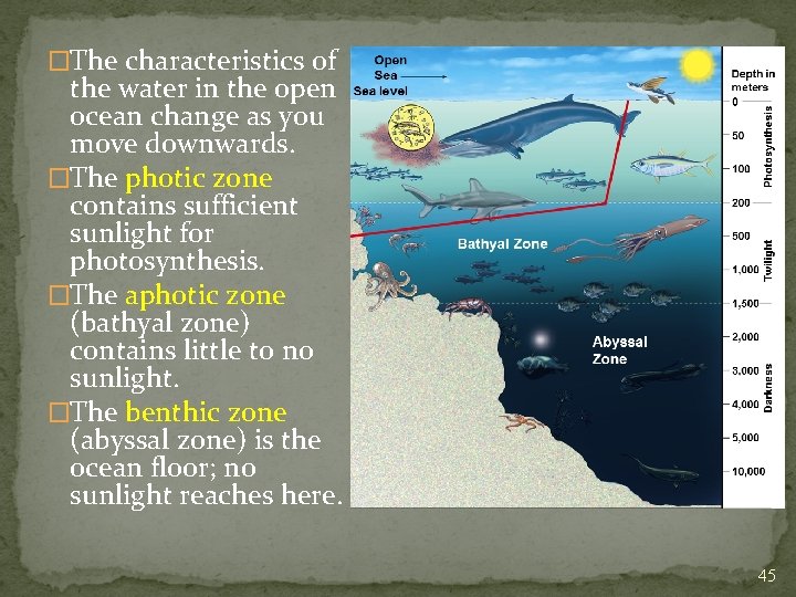 �The characteristics of the water in the open ocean change as you move downwards.
