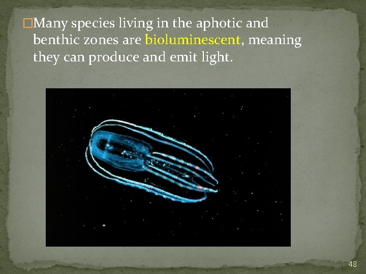 �Many species living in the aphotic and benthic zones are bioluminescent, meaning they can