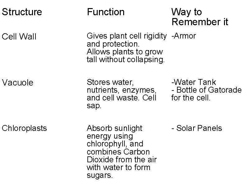 Structure Function Way to Remember it Cell Wall Gives plant cell rigidity -Armor and