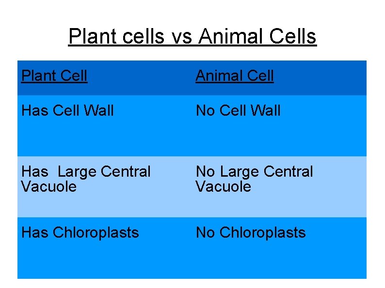 Plant cells vs Animal Cells Plant Cell Animal Cell Has Cell Wall No Cell