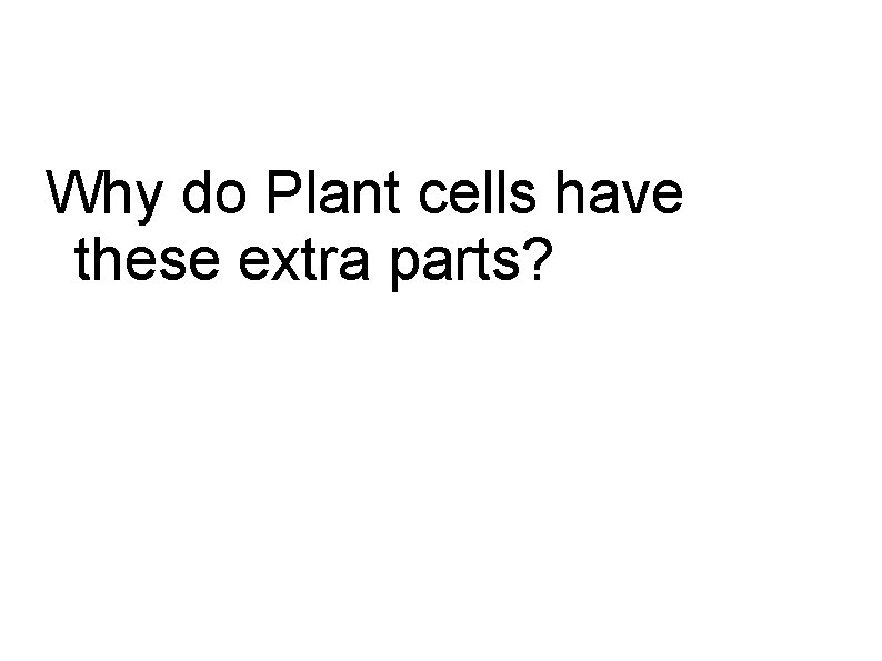 Why do Plant cells have these extra parts? 