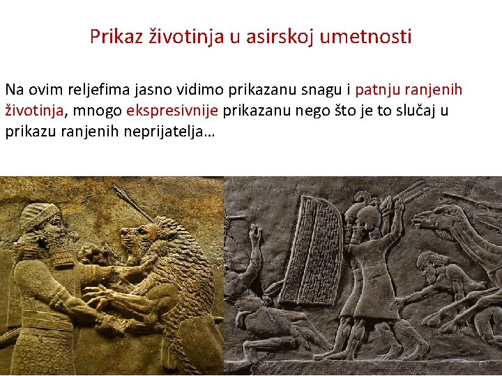 Prikaz životinja u asirskoj umetnosti Na ovim reljefima jasno vidimo prikazanu snagu i patnju Prikaz životinja u asirskoj umetnosti Na ovim reljefima jasno vidimo prikazanu snagu i patnju