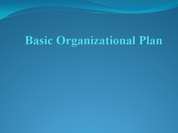 Basic Organizational Plan 