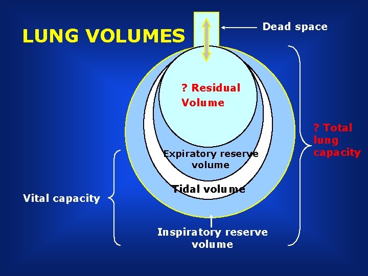 LUNG VOLUMES Dead space ? Residual Volume Tidal volume Expiratory reserve volume Vital capacity
