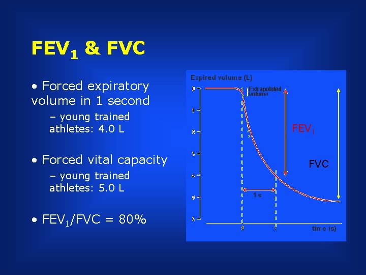 FEV 1 & FVC • Forced expiratory volume in 1 second – young trained