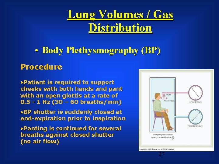 Lung Volumes / Gas Distribution • Body Plethysmography (BP) Procedure • Patient is required