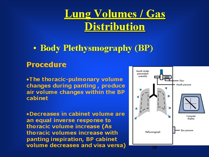 Lung Volumes / Gas Distribution • Body Plethysmography (BP) Procedure • The thoracic-pulmonary volume