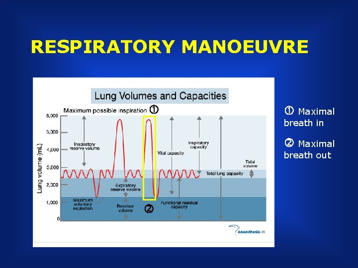 RESPIRATORY MANOEUVRE Maximal breath in Maximal breath out 