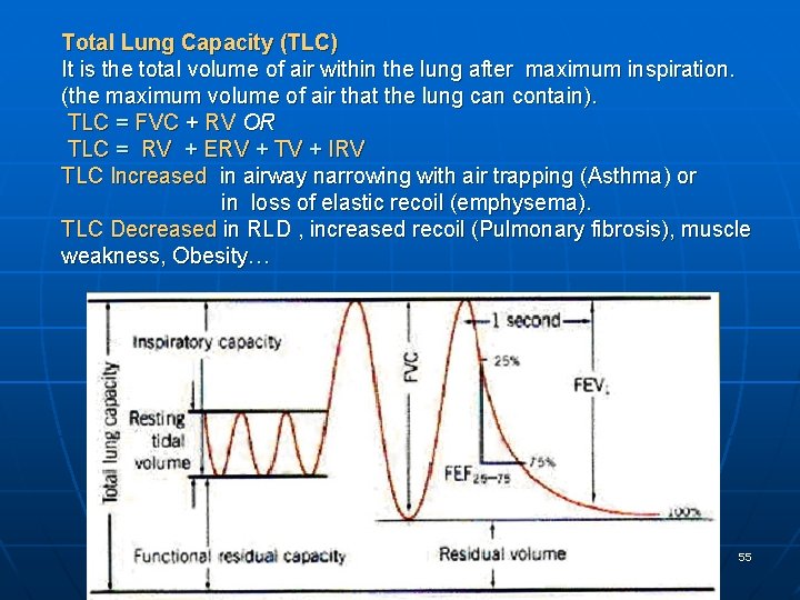Total Lung Capacity (TLC) It is the total volume of air within the lung