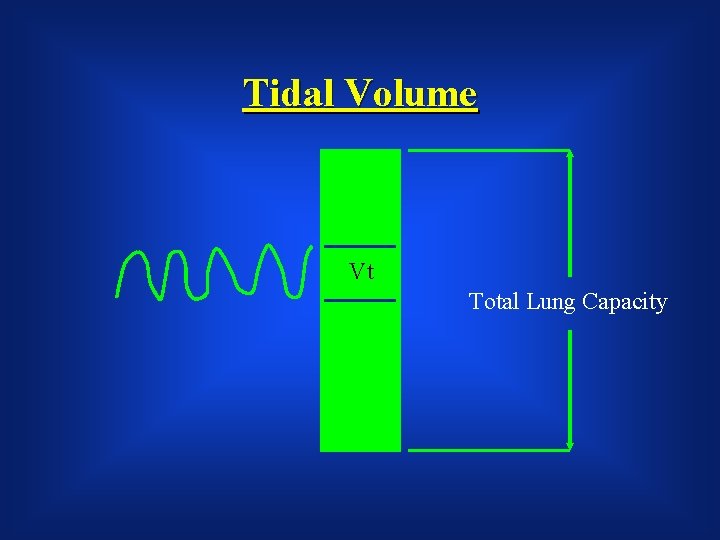 Tidal Volume Vt Total Lung Capacity 