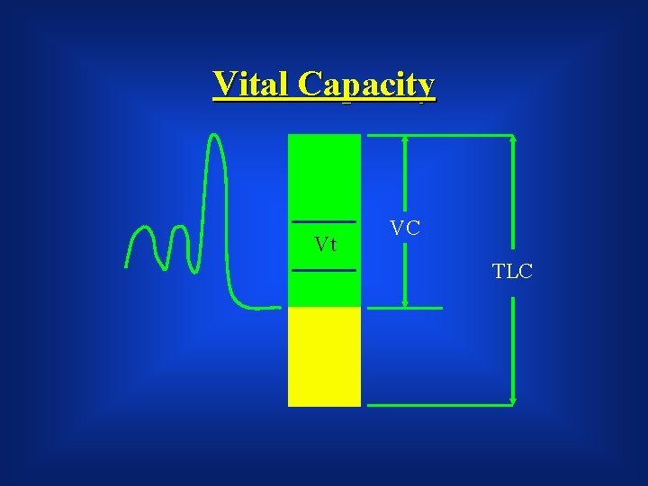 Vital Capacity Vt VC TLC 