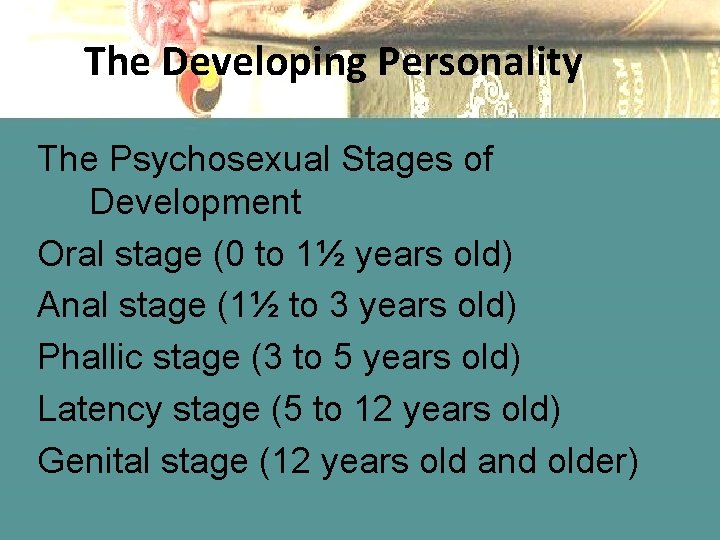 The Developing Personality The Psychosexual Stages of Development Oral stage (0 to 1½ years