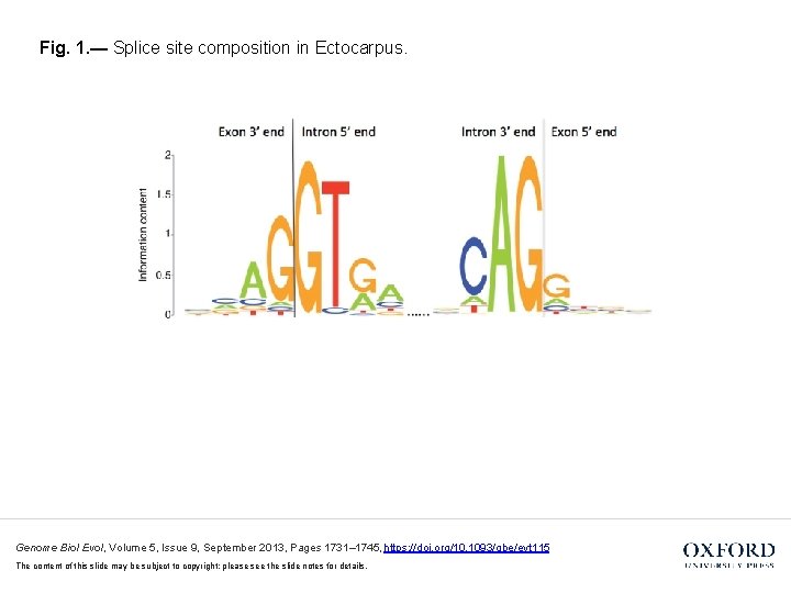 Fig. 1. — Splice site composition in Ectocarpus. Genome Biol Evol, Volume 5, Issue