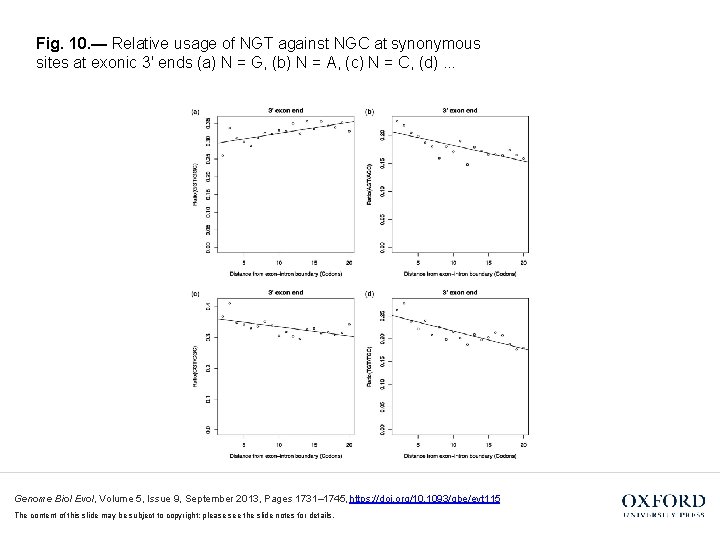 Fig. 10. — Relative usage of NGT against NGC at synonymous sites at exonic