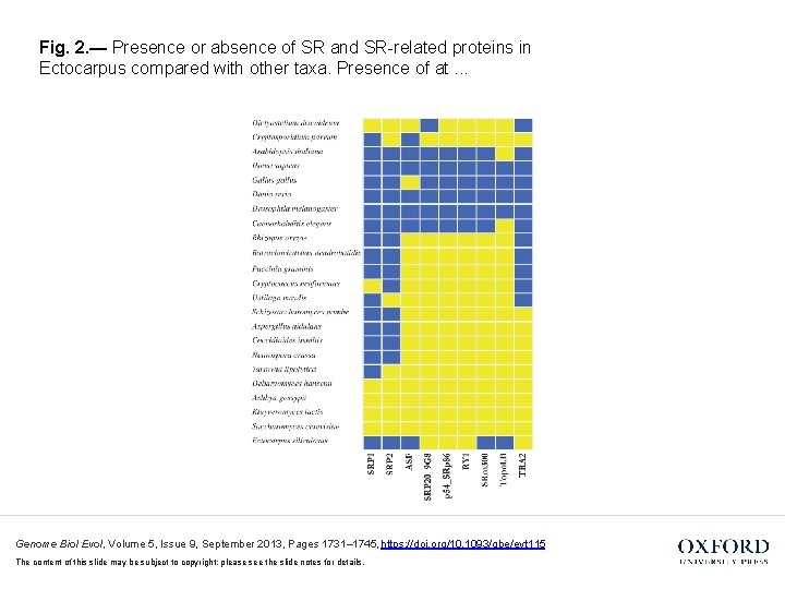 Fig. 2. — Presence or absence of SR and SR-related proteins in Ectocarpus compared