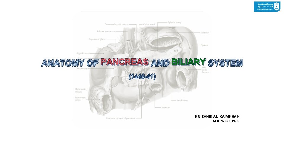 ANATOMY OF PANCREAS AND BILIARY SYSTEM (1440 -41) DR. ZAHID ALI KAIMKHANI M. D;