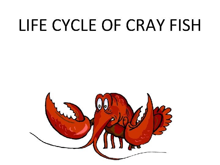 LIFE CYCLE OF CRAY FISH 