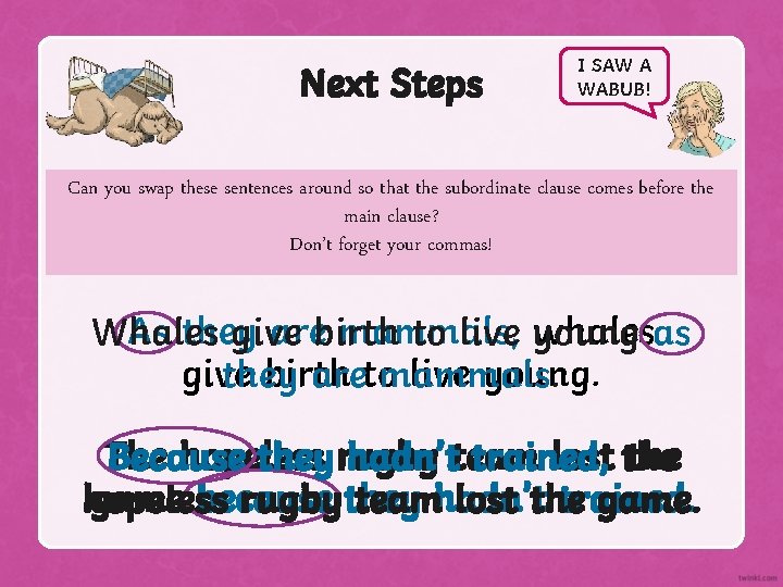 Next Steps I SAW A WABUB! Can you swap these sentences around so that