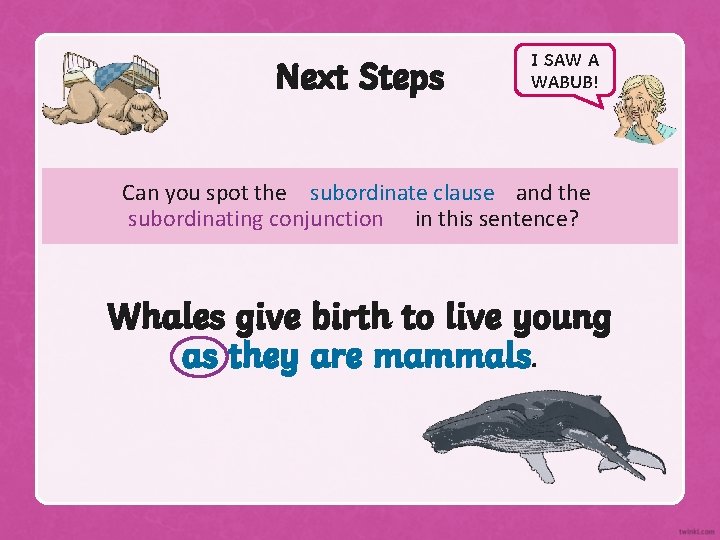 Next Steps I SAW A WABUB! Can you spot the subordinate clause and the