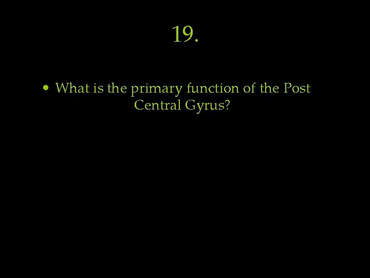 19. • What is the primary function of the Post Central Gyrus? 