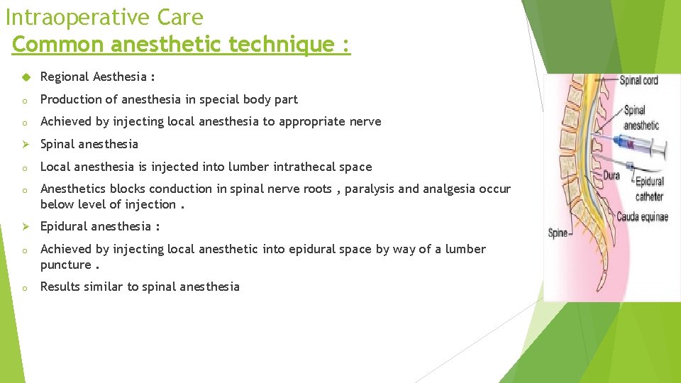 Intraoperative Care Common anesthetic technique : Regional Aesthesia : o Production of anesthesia in