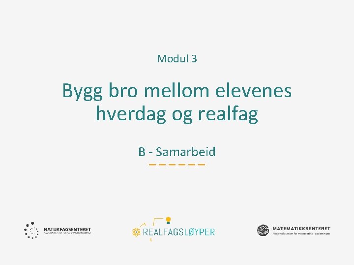 Modul 3 Bygg bro mellom elevenes hverdag og realfag B - Samarbeid 