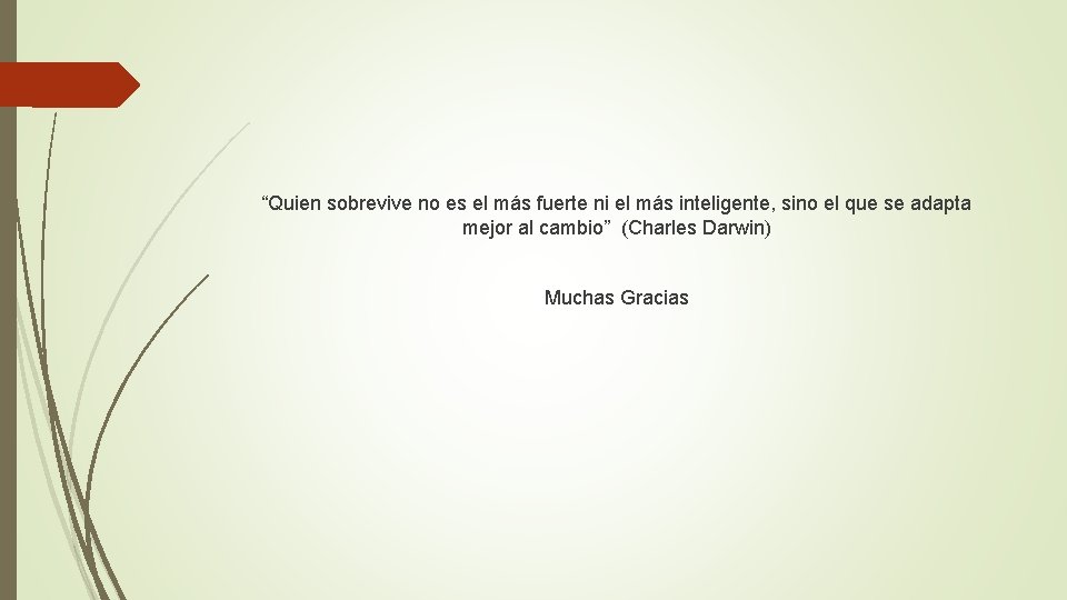 “Quien sobrevive no es el más fuerte ni el más inteligente, sino el que