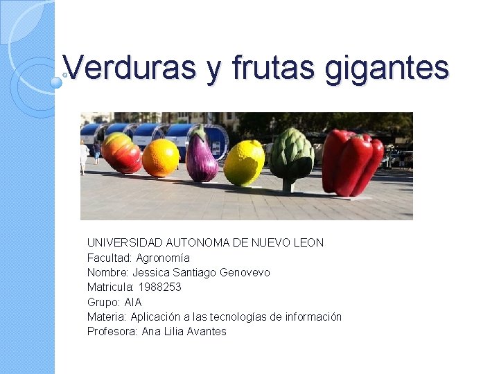 Verduras y frutas gigantes UNIVERSIDAD AUTONOMA DE NUEVO LEON Facultad: Agronomía Nombre: Jessica Santiago