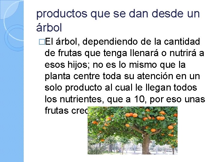 productos que se dan desde un árbol �El árbol, dependiendo de la cantidad de