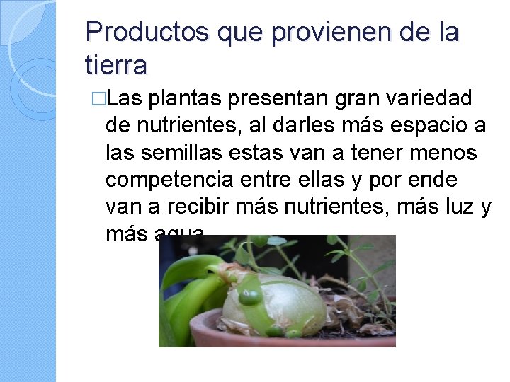 Productos que provienen de la tierra �Las plantas presentan gran variedad de nutrientes, al