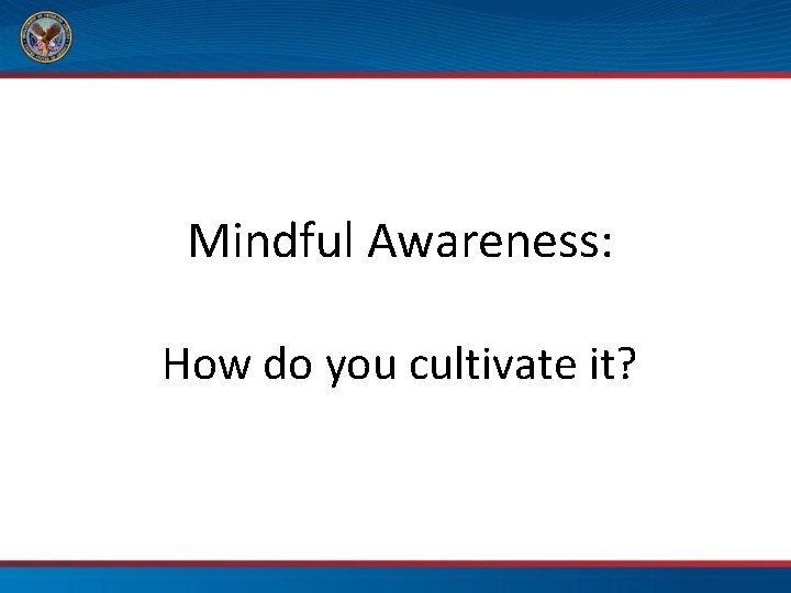 Mindful Awareness: How do you cultivate it? 