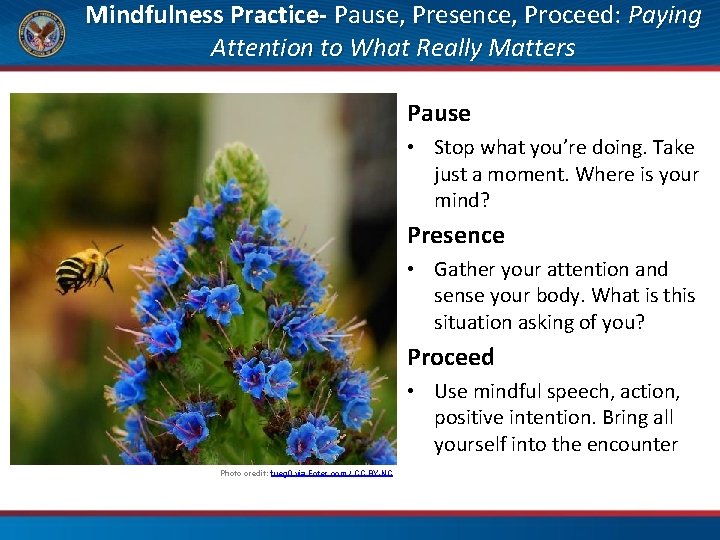 Mindfulness Practice- Pause, Presence, Proceed: Paying Attention to What Really Matters Pause • Stop