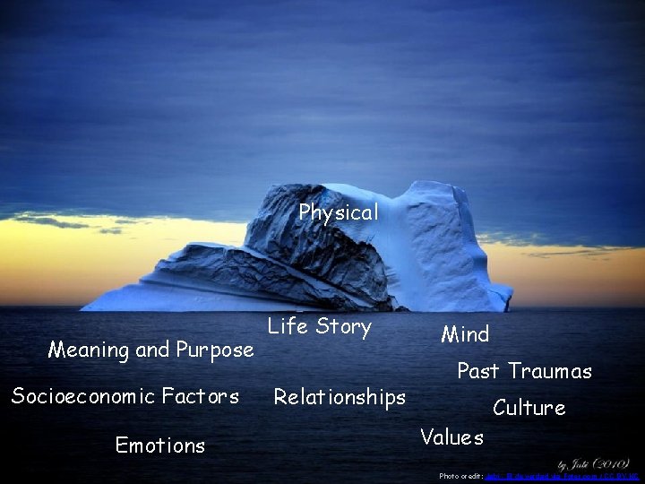 Physical Meaning and Purpose Socioeconomic Factors Emotions Life Story Relationships Mind Past Traumas Values