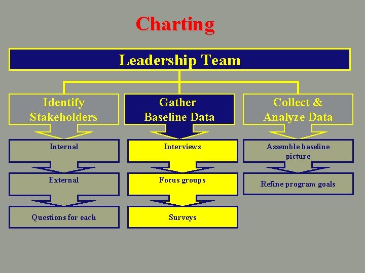 Charting Leadership Team Identify Stakeholders Gather Baseline Data Collect & Analyze Data Internal Interviews
