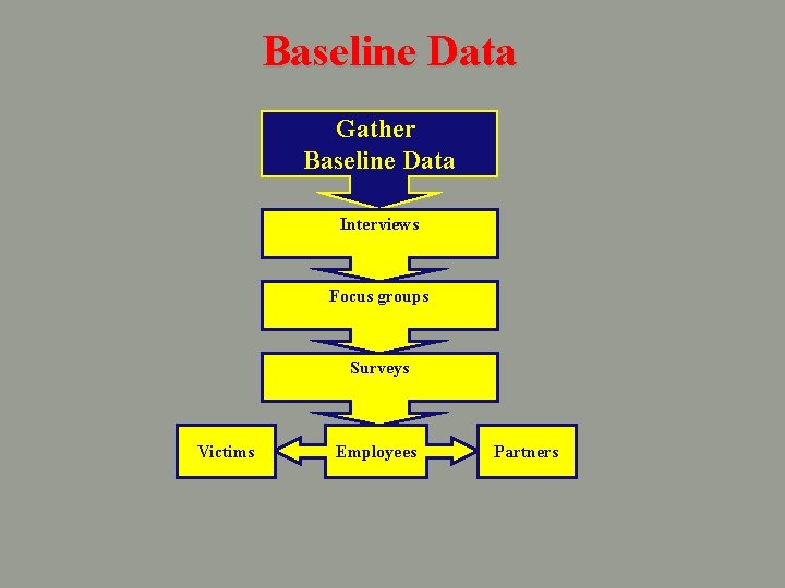 Baseline Data Gather Baseline Data Interviews Focus groups Surveys Victims Employees Partners 