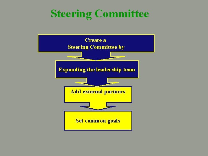 Steering Committee Create a Steering Committee by Expanding the leadership team Add external partners