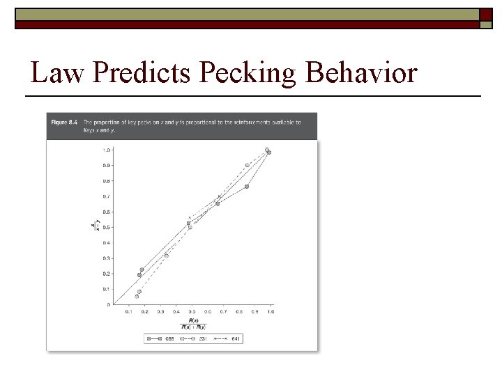Law Predicts Pecking Behavior 