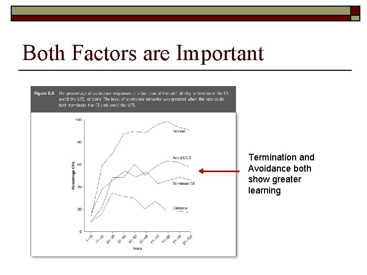 Both Factors are Important Termination and Avoidance both show greater learning 