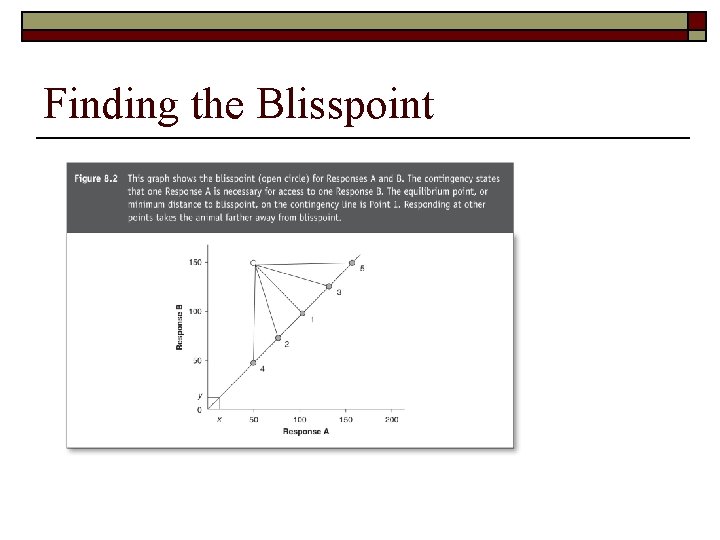 Finding the Blisspoint 