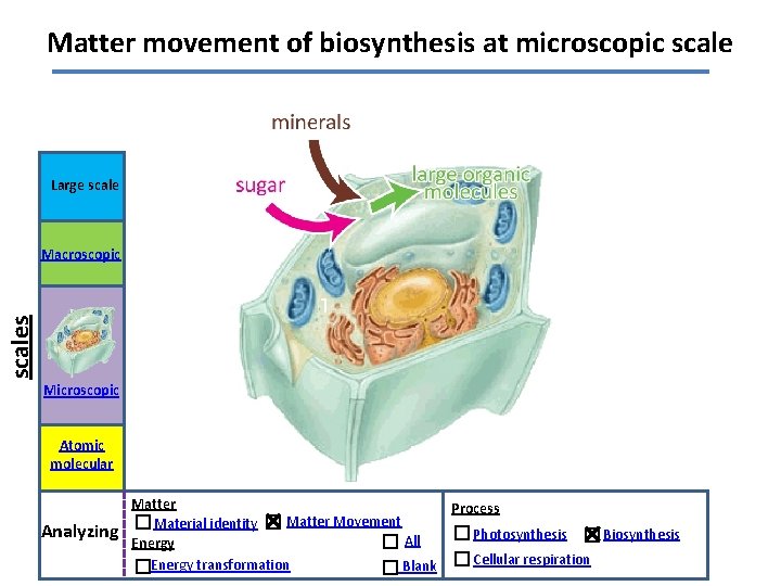 Matter movement of biosynthesis at microscopic scale Large scales Macroscopic Microscopic Atomic molecular Analyzing
